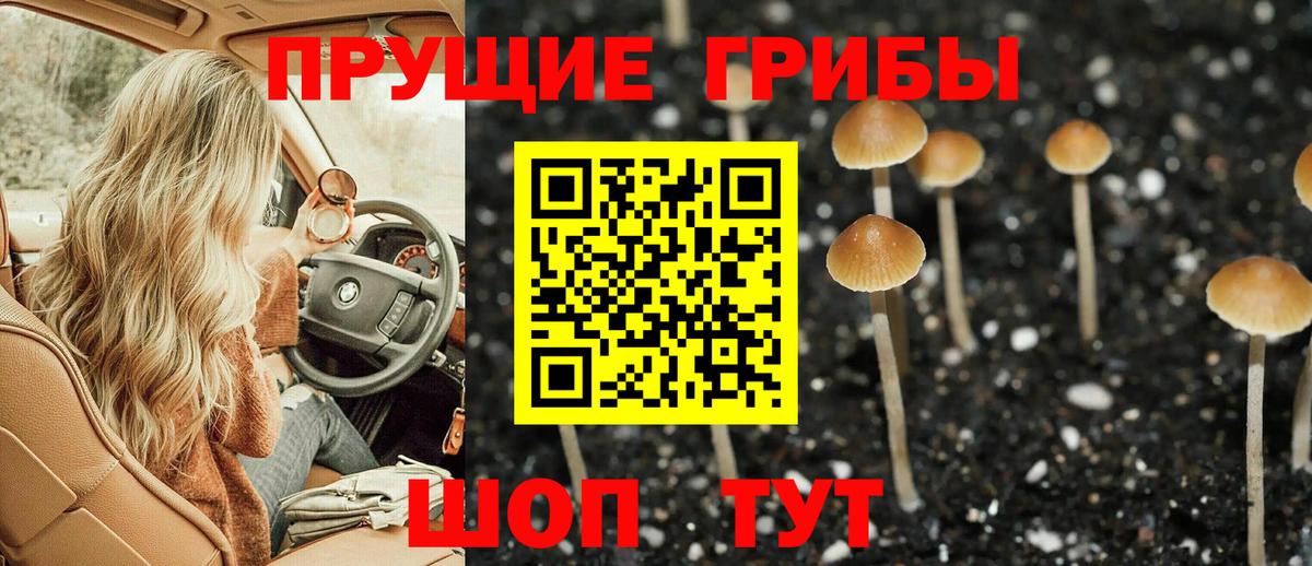 Псилоцибиновые грибы Psilocybine cubensis Воскресенск